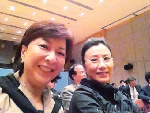 蒋丽芸，祖籍山东济南，香港女企业家，工业大亨蒋震之女，民建联前副主席。
因为亲内