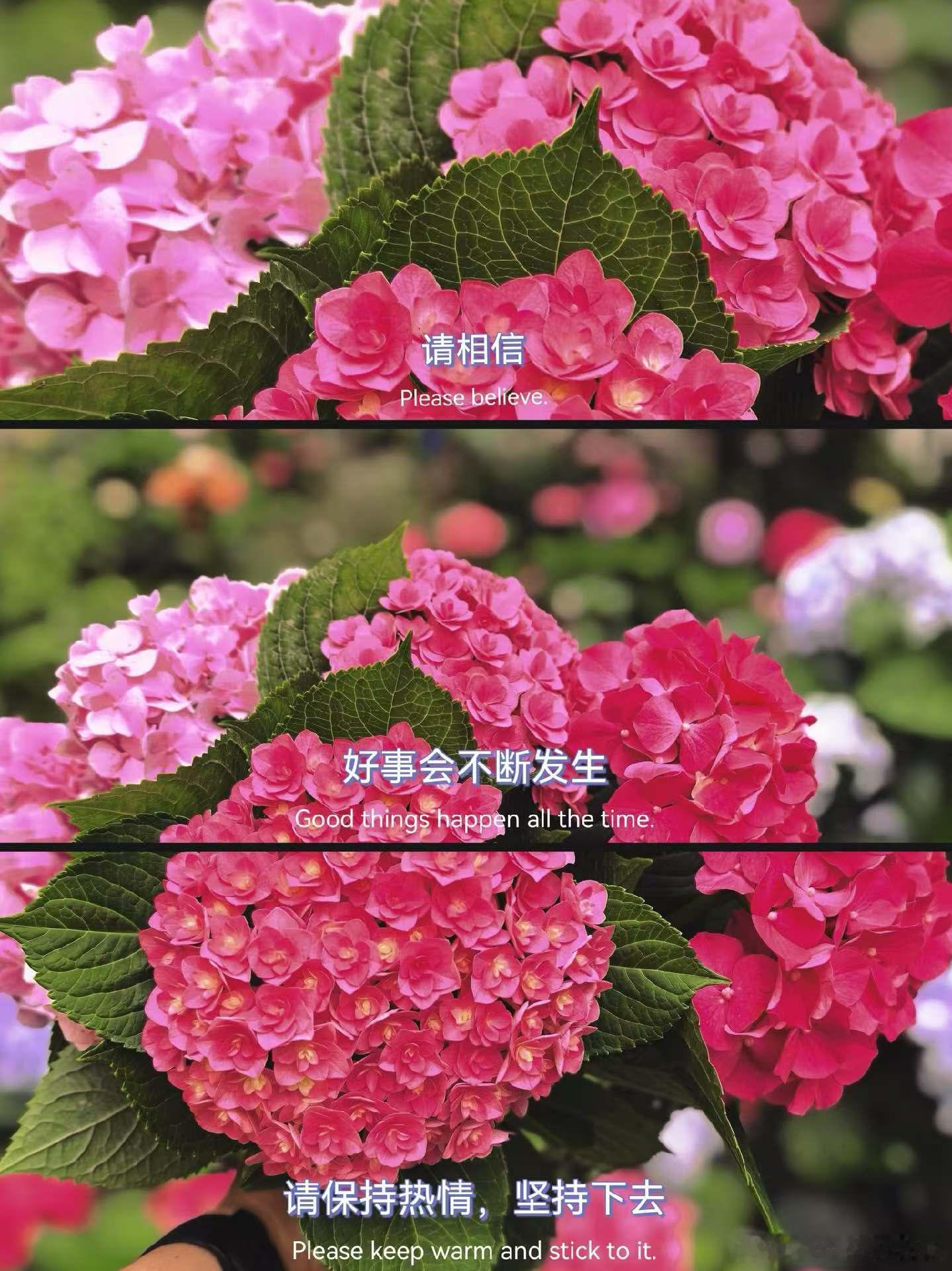 太阳下山 牛马也要下班啦 今天的苦就先吃到这里 牛马去家庭聚餐了