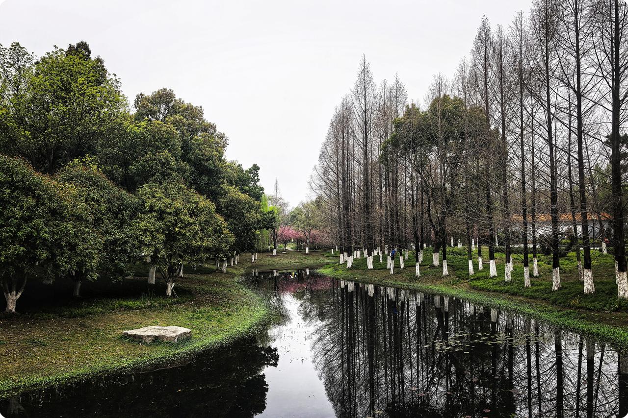 园博园亭台楼阁之韵
每一次踏入园博园的幽径，亭台楼阁似老友般相迎。它们是时光遗落