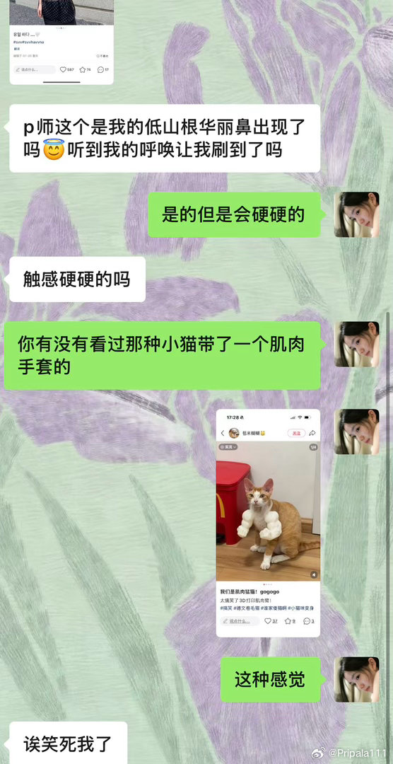 低山根华丽鼻（仅给这位咨询妹妹示意 不涵盖别的情况 