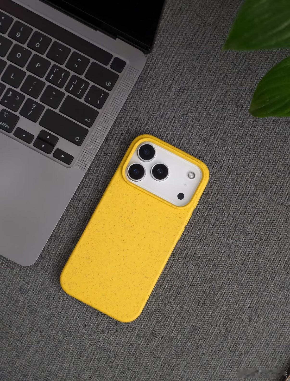 iPhone17Pro爆料汇总，其实还想用苹果只能自己去适应，按照果子的调性这个