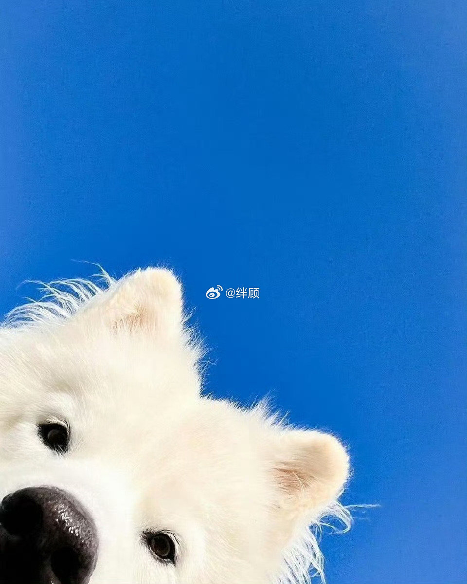 你想要的，很快就会到来 