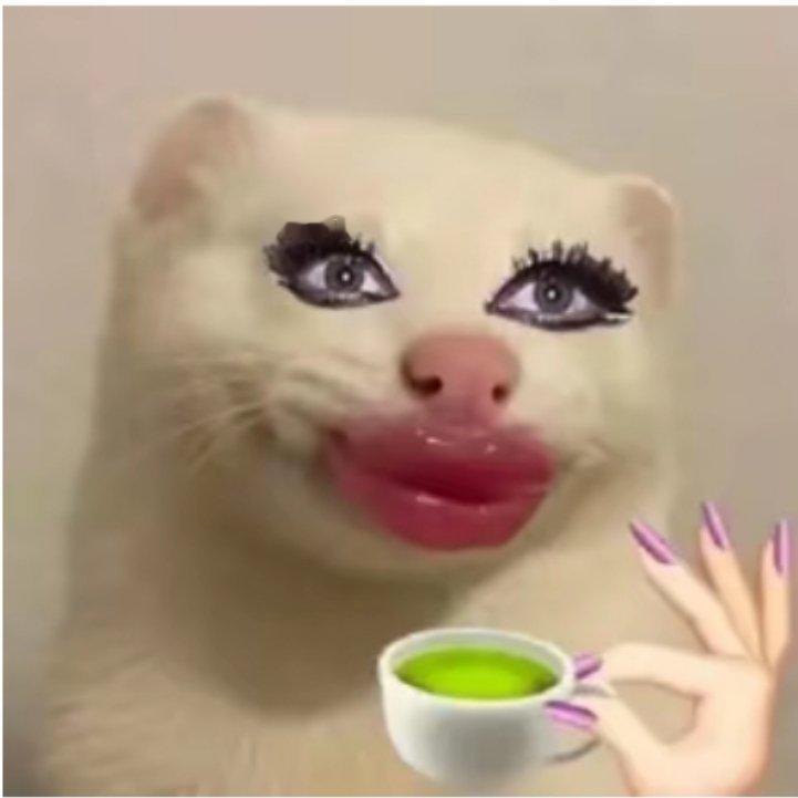 00后已经快奔三了: 00后其实是现世代最老的一代，三零后是一零后生的？？？ 