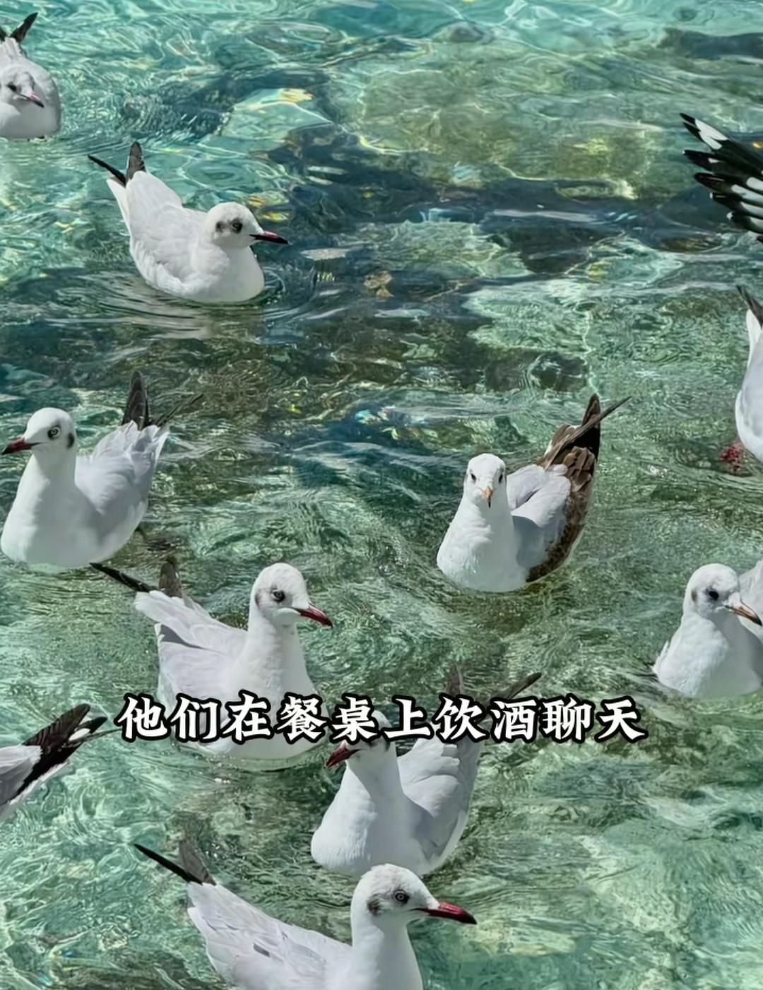 今天去参加葬礼，我看见死者家人在放声痛哭，旁人却在嘻嘻哈哈，喝酒聊天，很不理解，