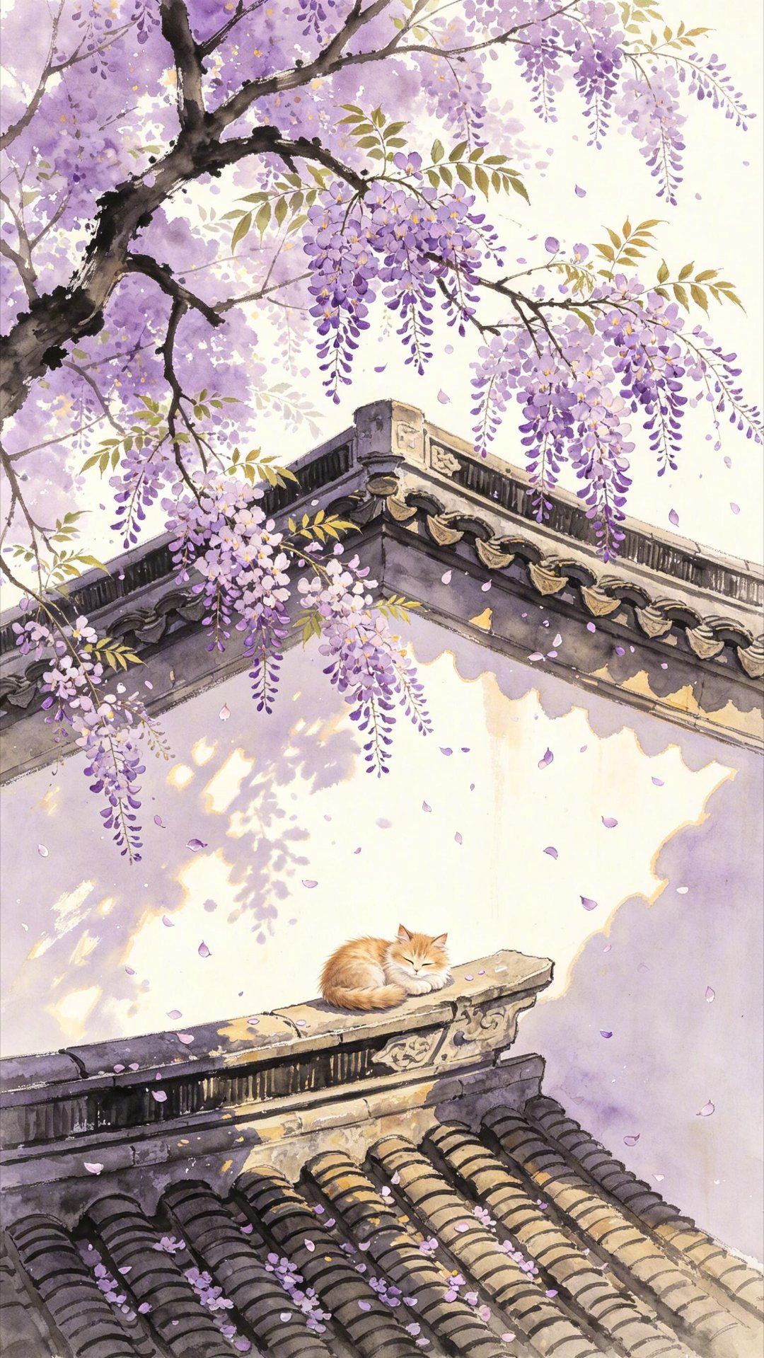 楝花逐风，檐猫睡熟。 ​​​