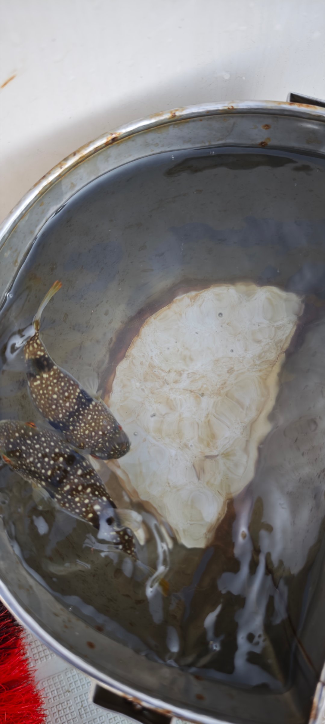 第二条，让你们说我空军！ 