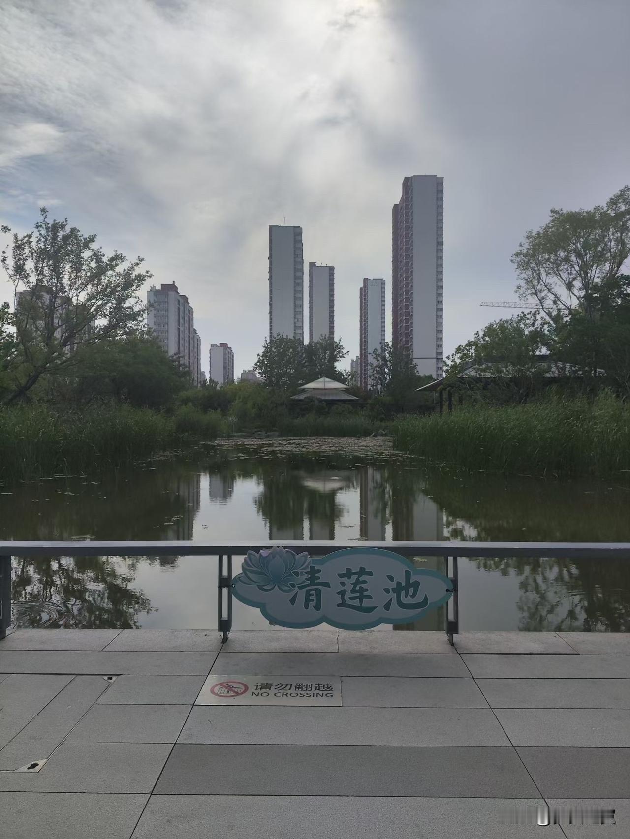 江苏多地党政机关“处”改“科”机构还有编制问题，还是规范设置好，便于管理，也有利