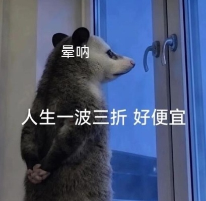 我家王韵娜这几天又是回忆录又是坐牢又是拉三轮又是复仇的，想到了个表情包。。。 