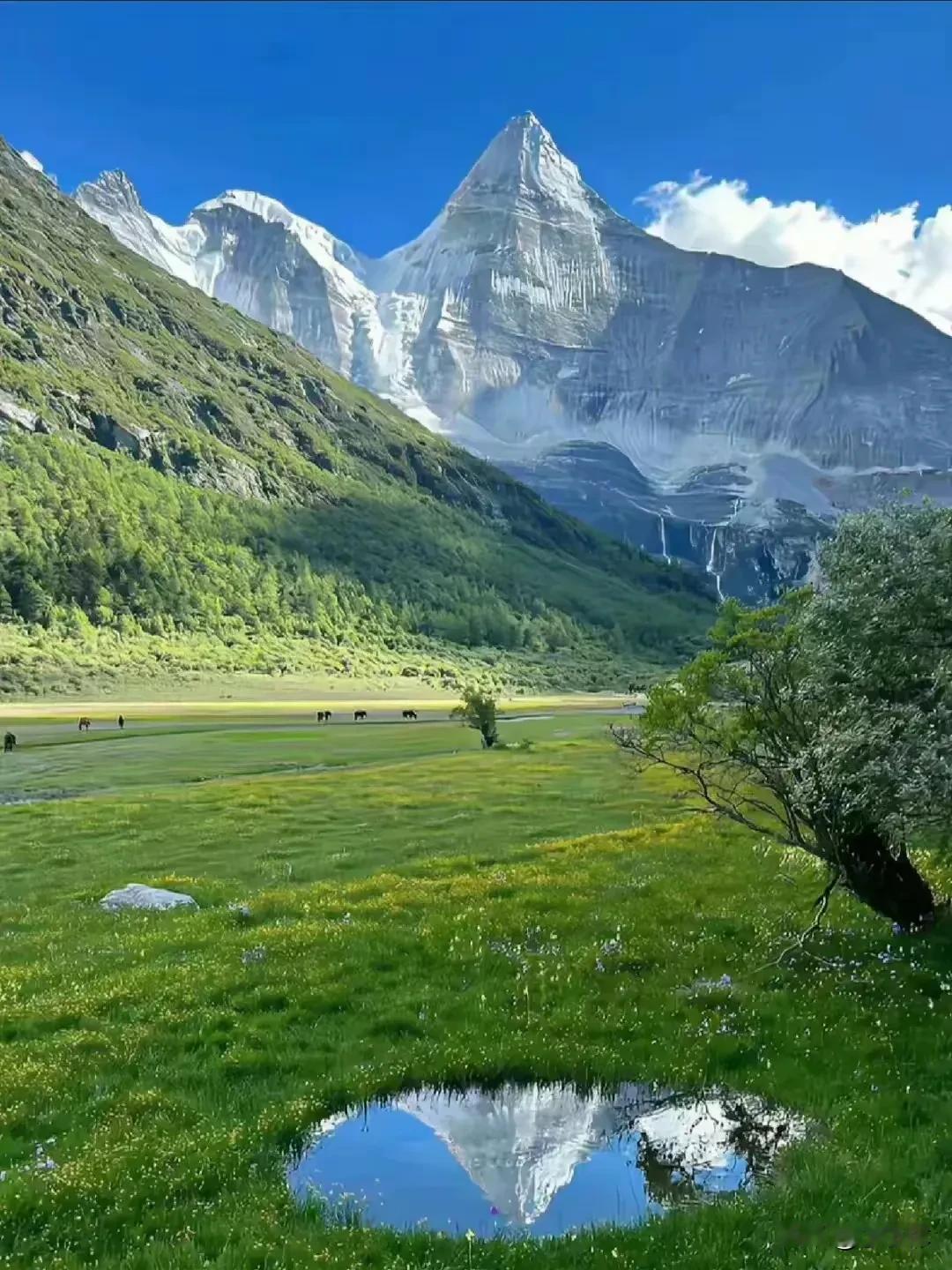 做人的境界：见山是山（第一层），见山不是山（第二层），见山还是山（最高层）。见不