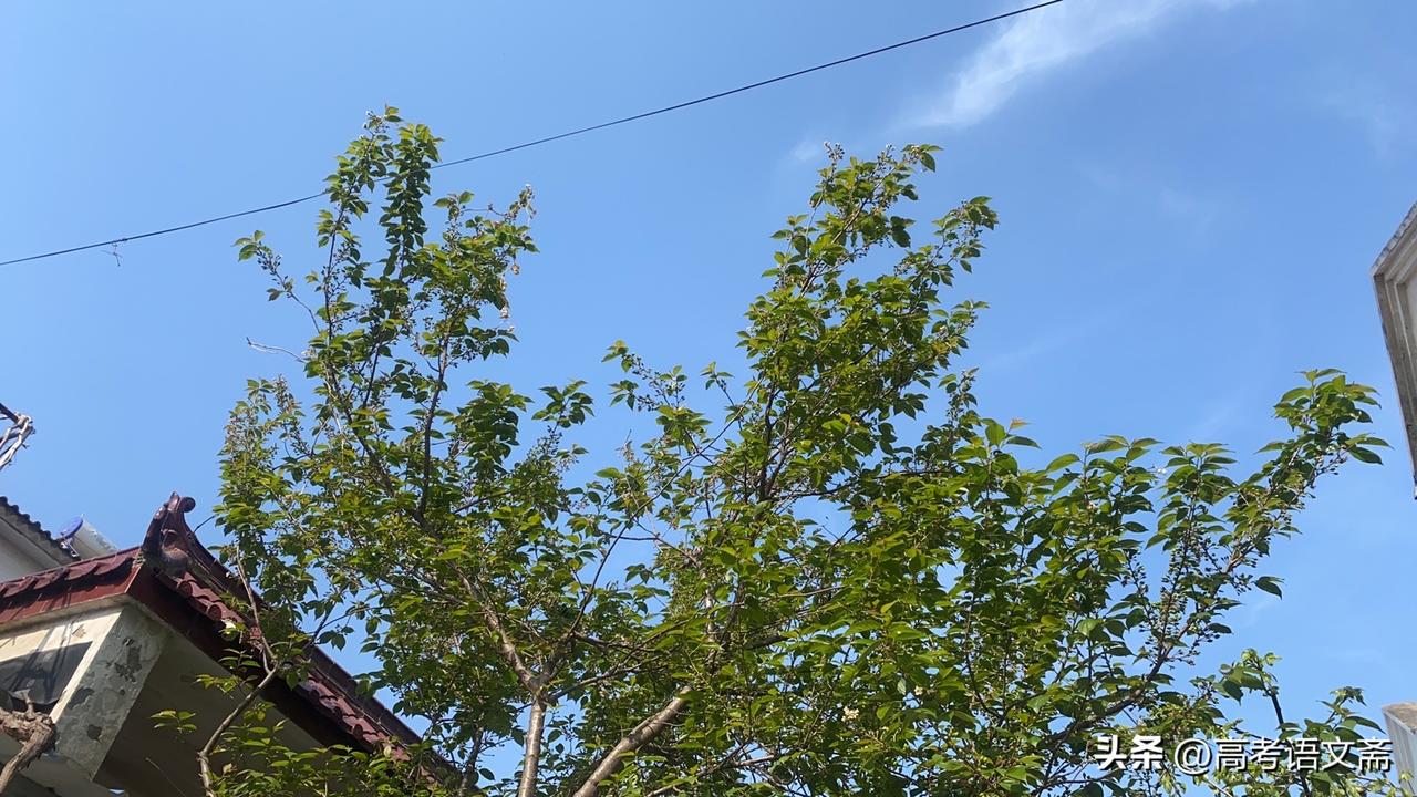 晒图笔记大赛蓝天白云下，绿树掩映的乡村美景。