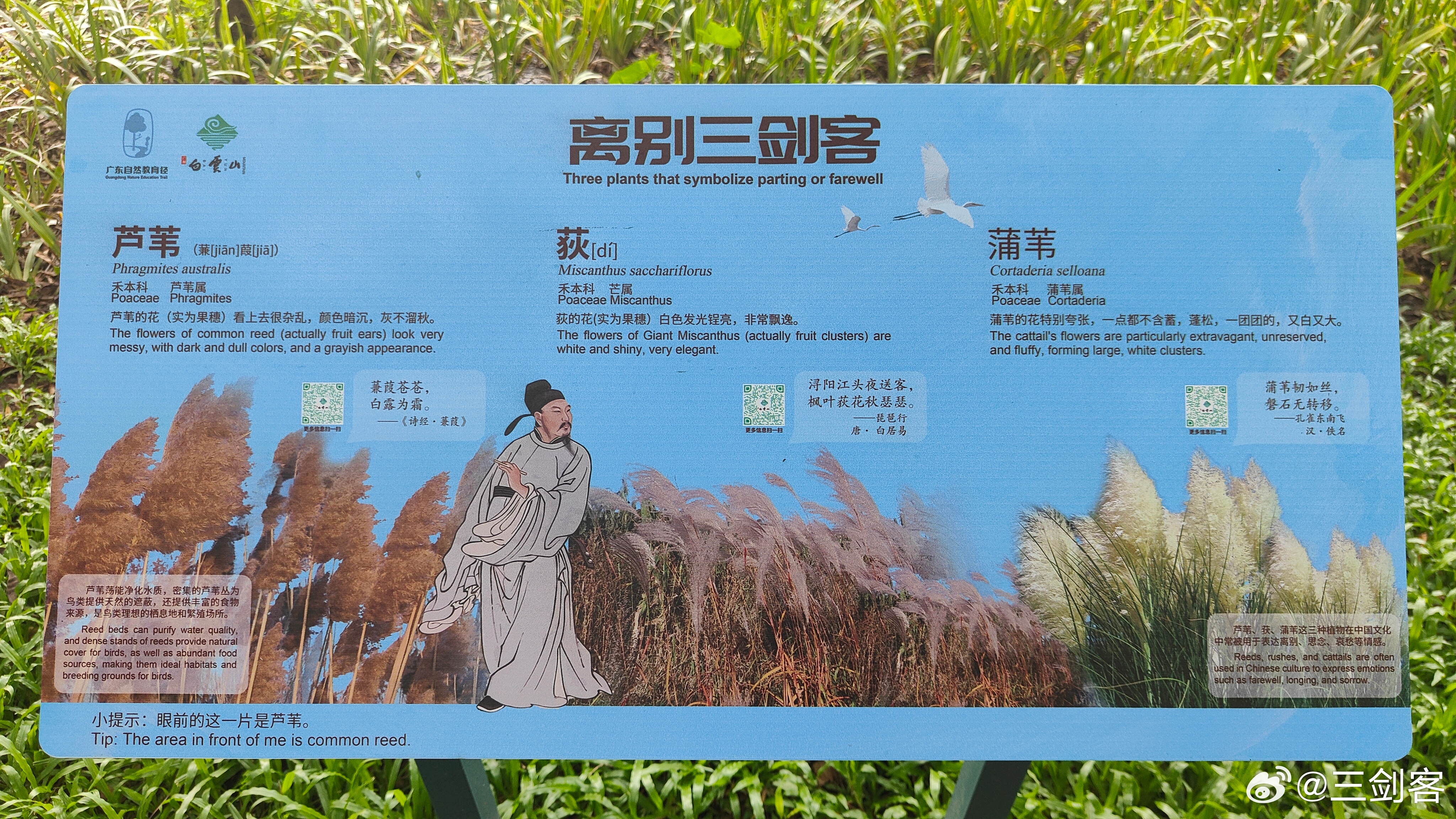 离别，人生永恒的课题！ 