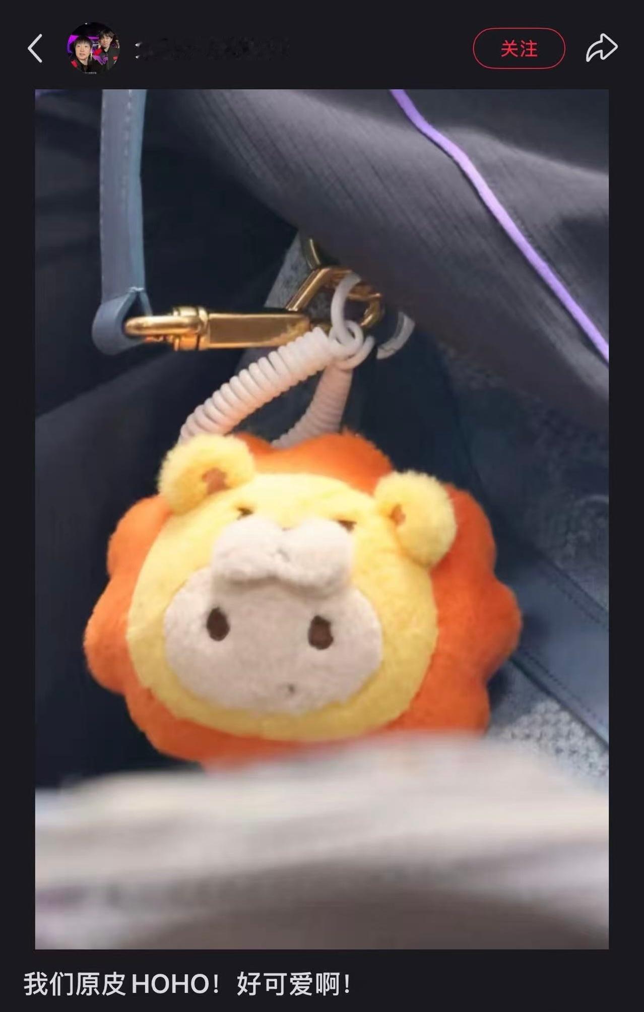 才发现哥这个ho和大家的是不一样的 感觉这个原皮少爷更萌呢 豆豆眼宝宝 