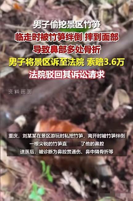 重庆，一男子在景区内因内急到竹林小便，见竹林的竹笋很嫩，于是挖了几个。谁知在离开