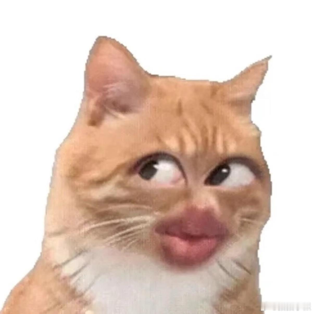 人一幸福就不频繁更新社交软件了其实应该是感到幸福之后才会频繁的更新社交软件吧，我