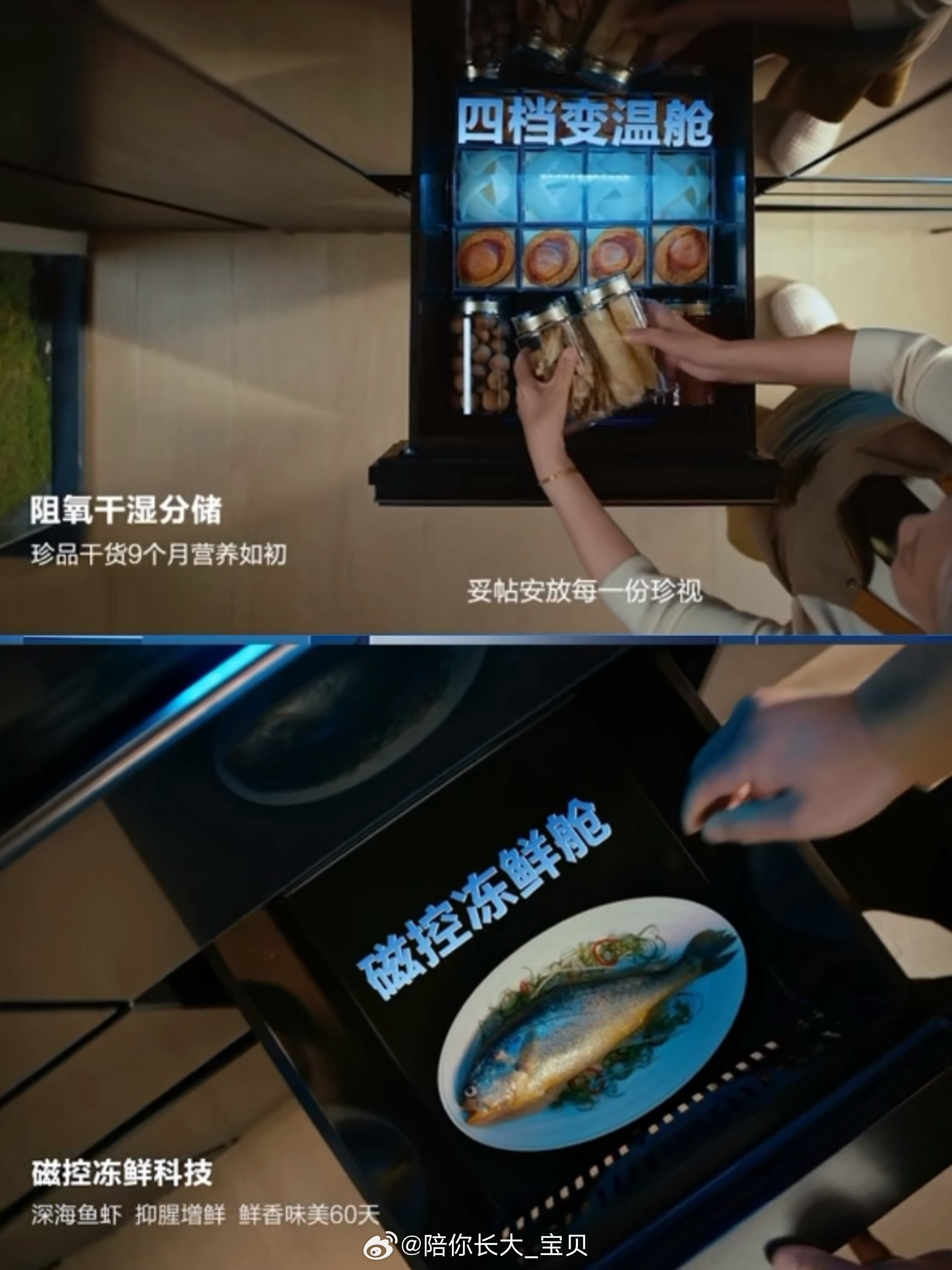 海尔冰箱磁控保鲜60天大考今日出分居家过日子，日常采购海鲜、肉类，新鲜果蔬囤货已