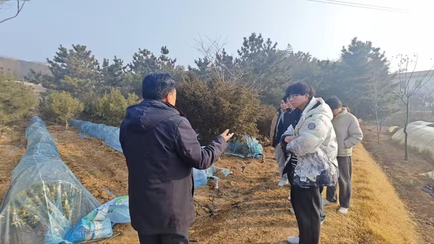 秦岭笑谈【青春赴茶约，实践助农兴】社会实践曲阜师范大学青春三下乡 2026年1月