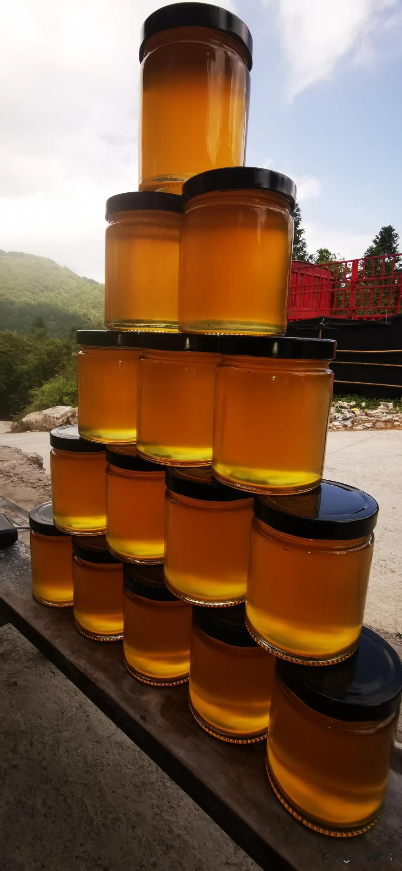 林哥家的土蜂蜜！
