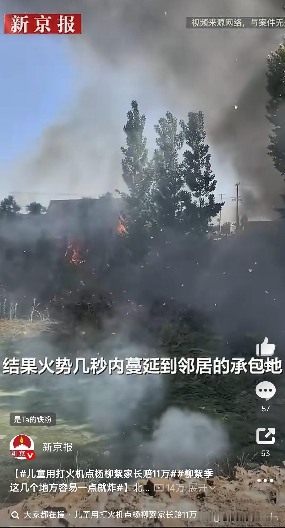熊孩子点杨柳絮，家长赔了11万

北京平谷法院刚审结一个案子：一个不满15岁的孩
