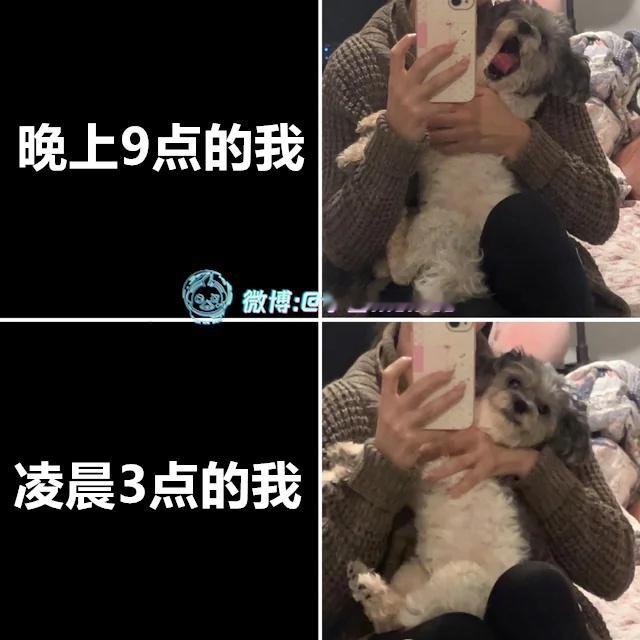 酿挺久（9gag）今日meme今日memes