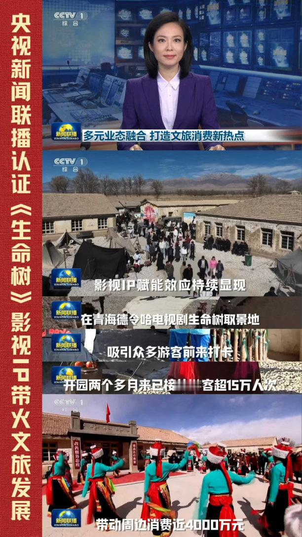 影视文旅成消费新风口一部《生命树》，激活高原文旅势能✨青海德令哈取景地两月接待1
