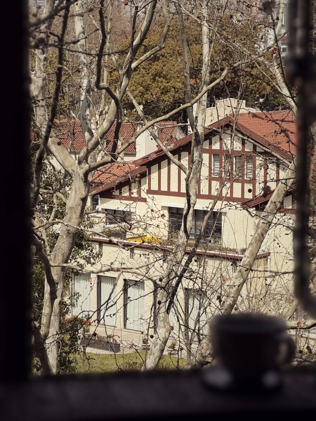 梧桐区的店，好做也不好做。