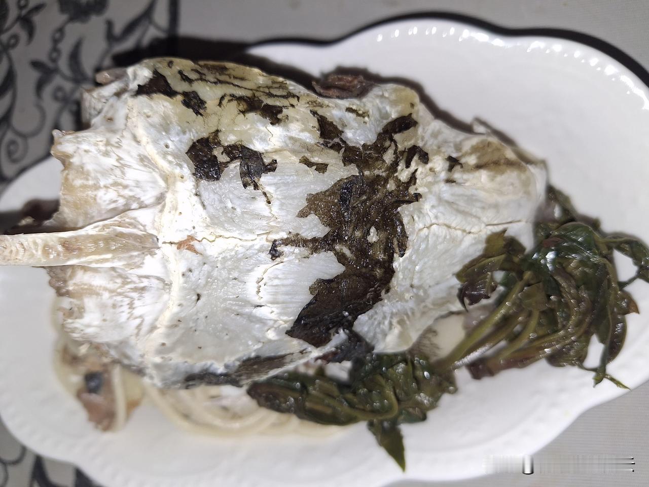 头盖骨炖拉条子，很有创意吧？昨晚用半公斤的鱼头炖豆腐，吃不完，根本吃不完，留下鱼