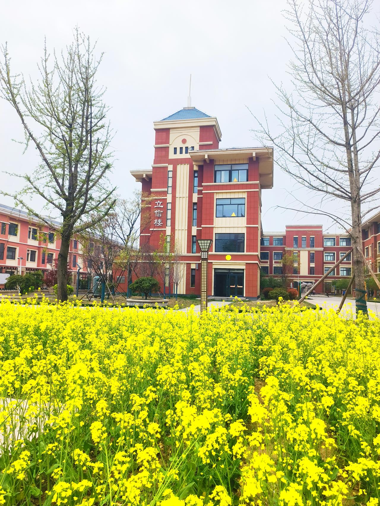 学校的保安挺不容易的。很早就到岗，开各个楼门、巡查校园，入学和放学时段更是人流高