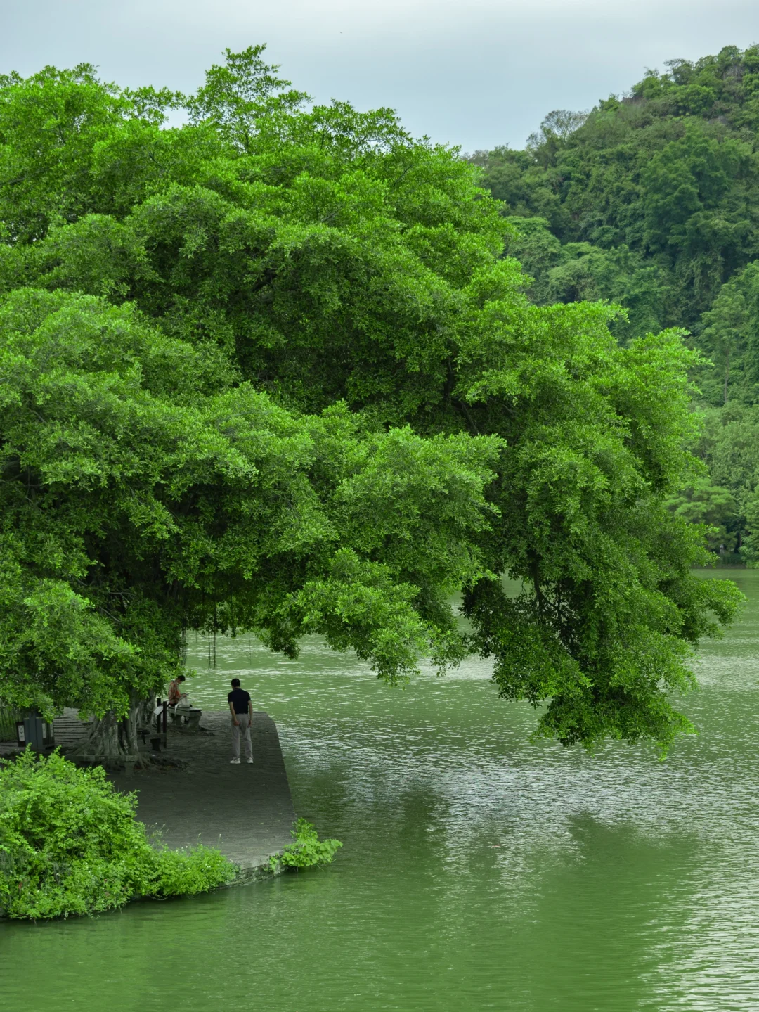 在柳州🍃这个免费的