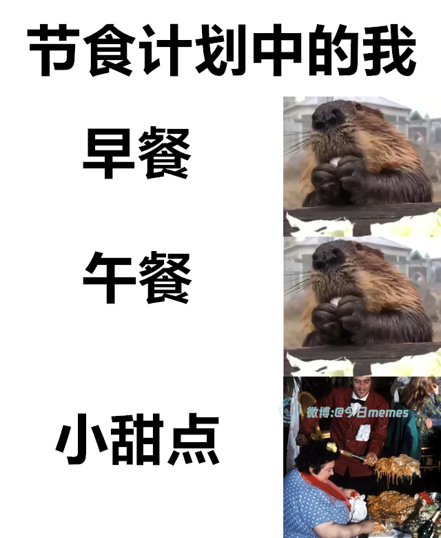 规划太好了（9gag）今日meme 今日memes