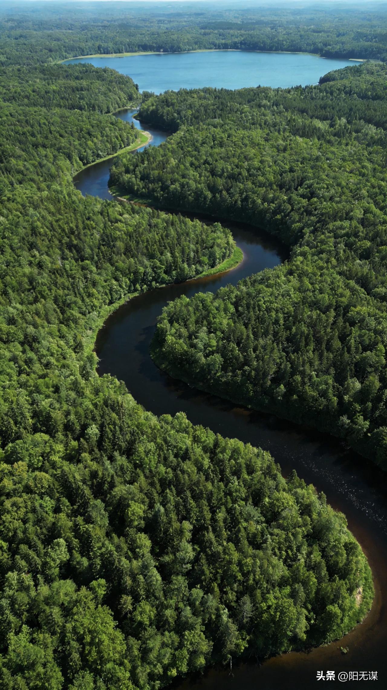 情感专家说：
“女人35岁以后还单身的，基本就不要考虑谈男朋友了，因为你很难遇到
