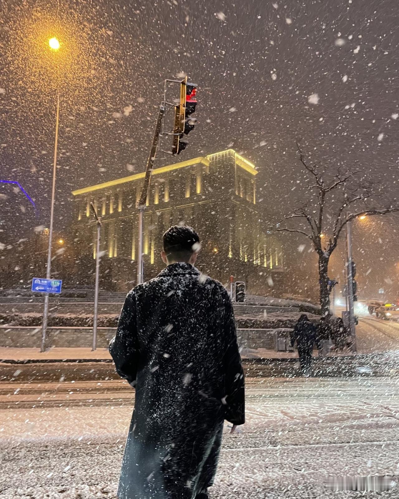 外面又下雪了。至今还记得那年冬天，马上过年了，外地出差赶上大暴雪，经过几天的艰难