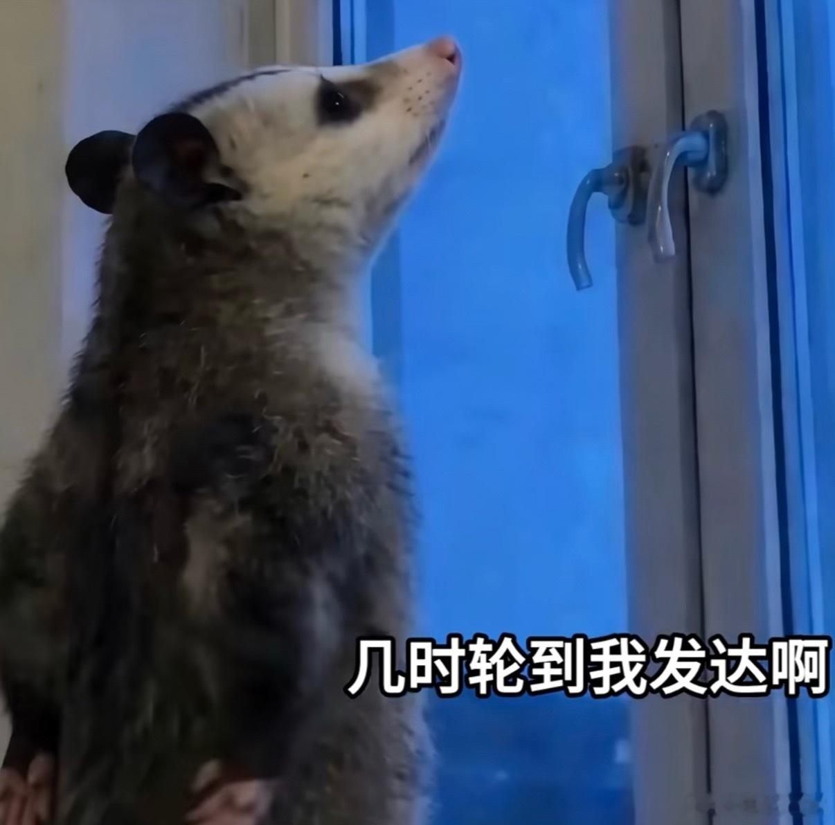 金粉红包预告来喽周日晚上18:18开启！记得来领取～祝大家假期愉快啦电车同学随便