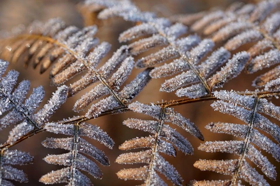 《光埋头苦干，很难富起来：你得学会“抬头看路”》
有句话挺扎心，但基本是事实：
