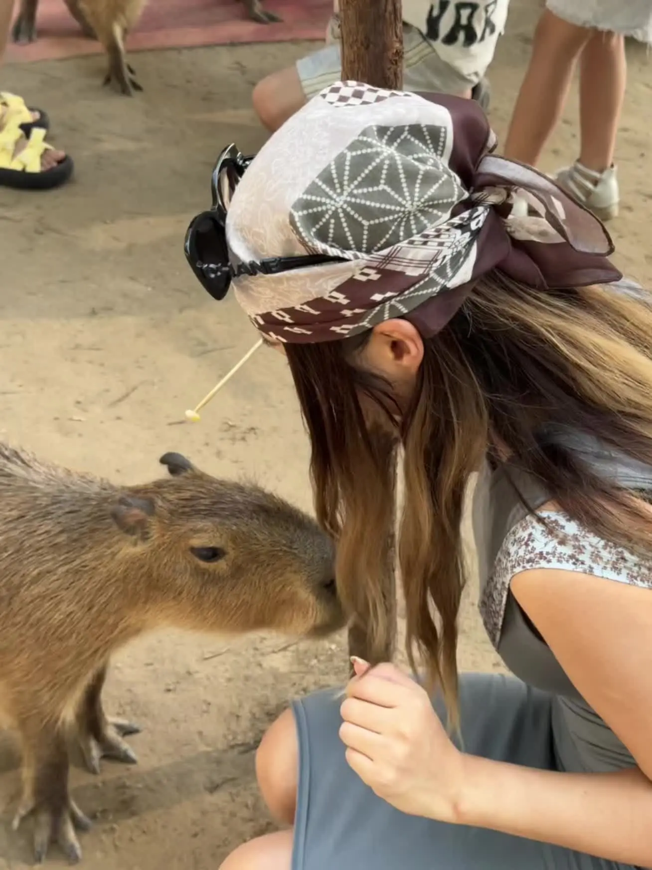 情绪稳定 好想偷一只回家