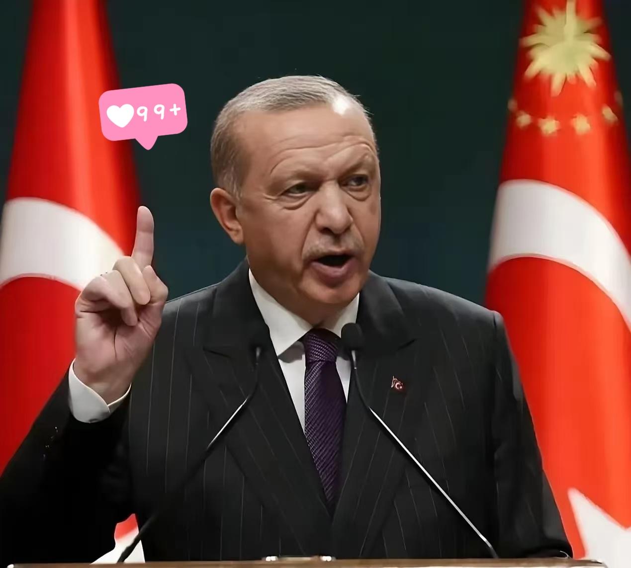 中国和土耳其谈话了 
3月25日，土耳其终于等不了了，一通电话打到了中国，土耳其