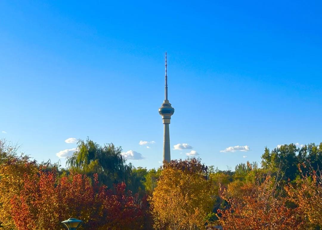 新学校新开始（2）——个人1+3学校的选择
海淀1+3学校现在已经很多了，各个档