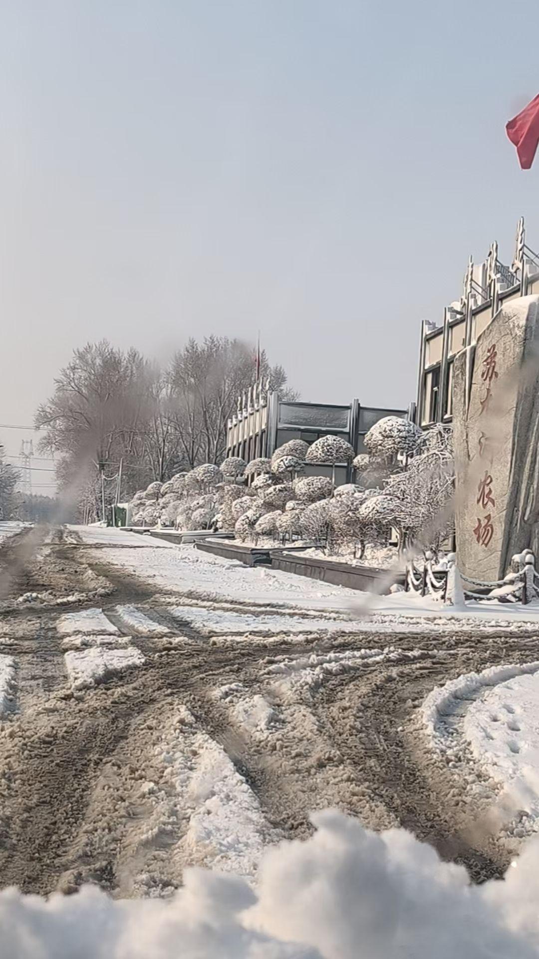 分享一下你随手拍下的照片四月份的黑龙江大雪过后，别样的景色分外妖娆。