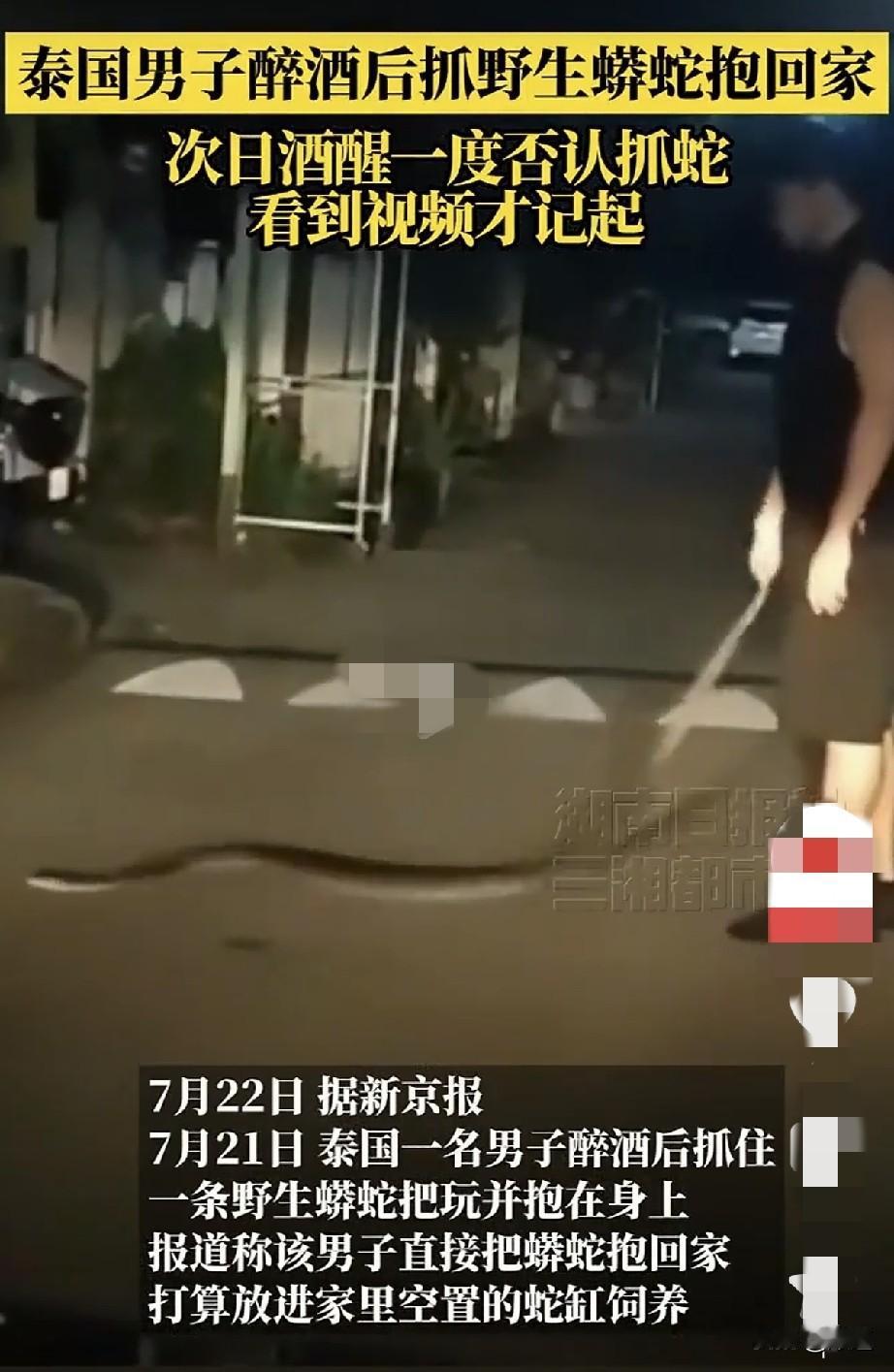 7月21日，泰国一名男子在外边聚餐时喝醉了。
回家途中正好遇到一条蟒蛇，他抓住就