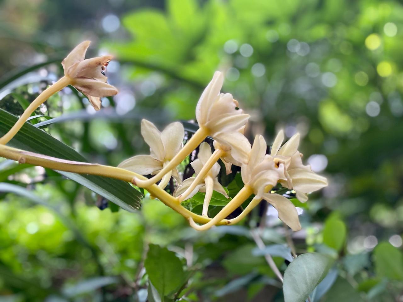 康复日记：三圈步履里，藏着一整个春天的温柔 860420

今天的清晨，还是带着