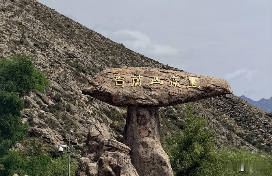 银川轻旅居日常
贺兰山岩画看了，惟石能言。古人的“朋友圈”藏在这座山里？
西夏陵