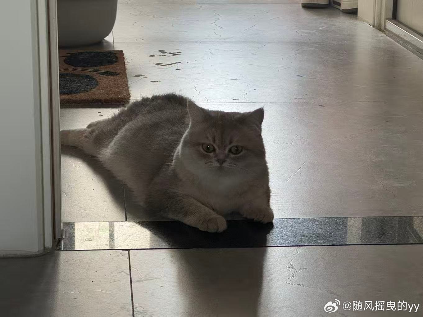 我家的小卡车🚚