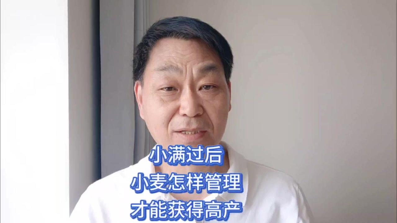 小满后北方小麦看似成熟，实则需加倍重视田管！这时候高温暴雨频繁，稍不注意就可能影