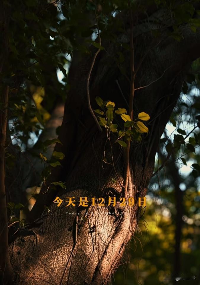 川普：都是你的错

门，是尼克松打开的；
关联，是卡特定下来的；
用规则，是克林