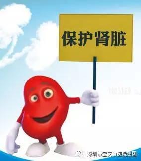 每天这样做，轻松守护你的肾脏！十个简单习惯帮你远离肾病

大家都知道，肾脏可是咱