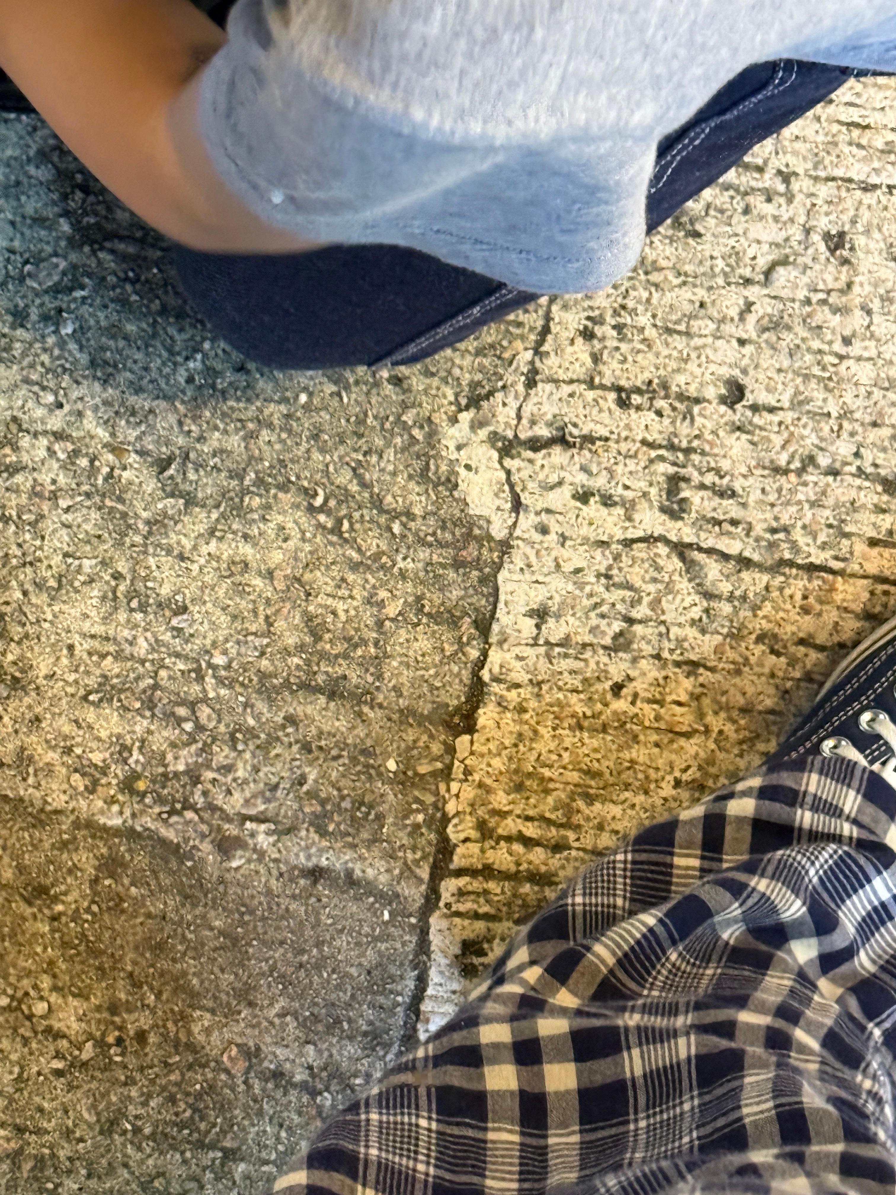 我说我要去堂吉柯德我侄子邪魅一笑一定要跟我但其实我们两个不是很熟他一开始很腼腆，