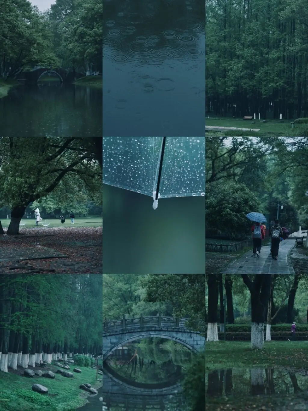 武汉一下雨，解放公园就成了言叶之庭现实版