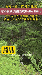 “无知者无畏！”吉林珲春，一男子采完松子下山时，忽然察觉树林里有动静，等靠近一看