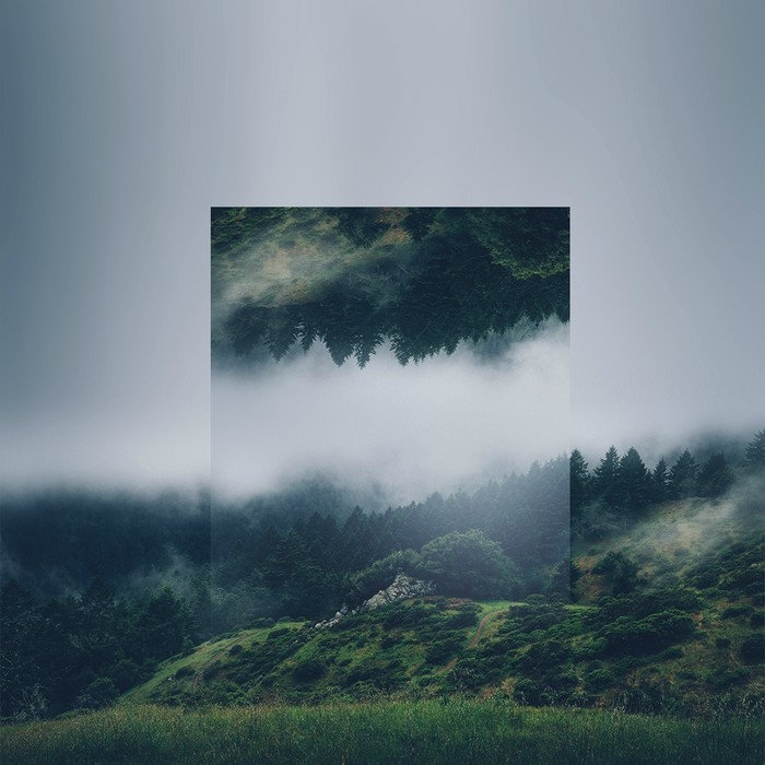 你把秘密告诉了风，风会吹遍整片森林。——纪伯伦《先知》