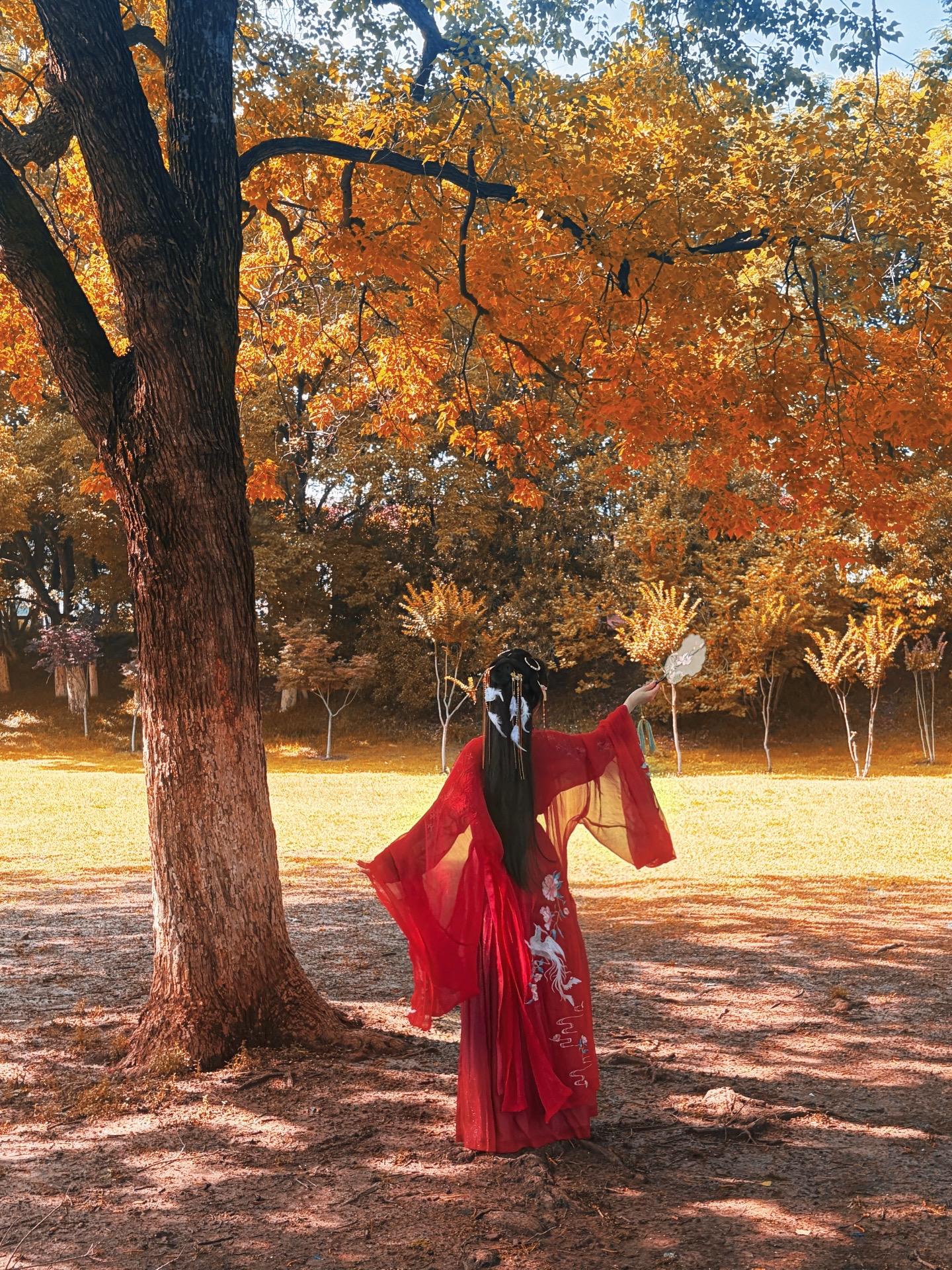 随后 便是我最爱的秋🍂