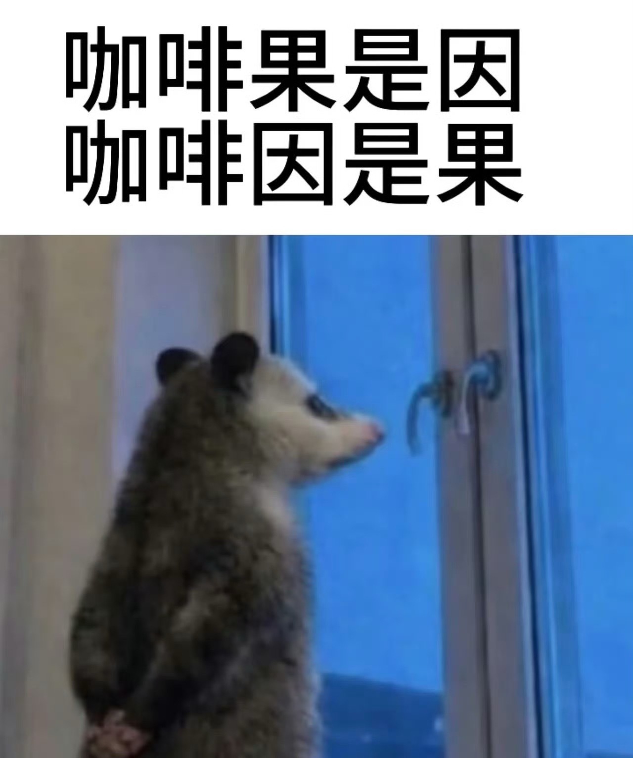 国家不让你胖也没让你瘦啊我胖了这件事国家都知道了🥹想靠谱瘦身？记好4件事① 饮